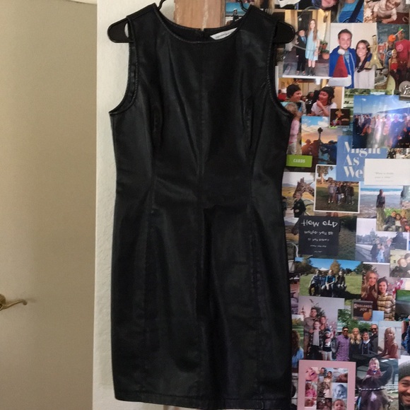 Cashmere Faux Leather Dress 